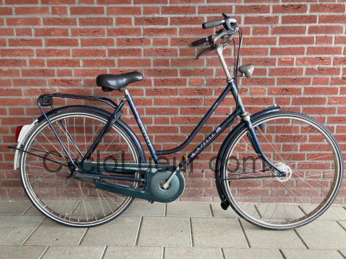 Gazelle Solide fiche technique et avis